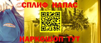 трава Гатчина