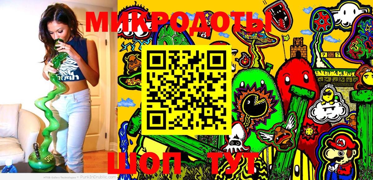 Галлюциногенные грибы Psilocybe Кемерово