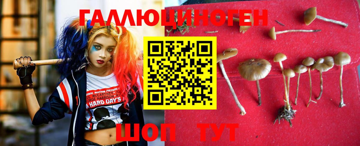 цены наркотик  Галлюциногенные грибы ЛСД  Вход с VPN  Галлюциногенные грибы прущие грибы  Кемерово 